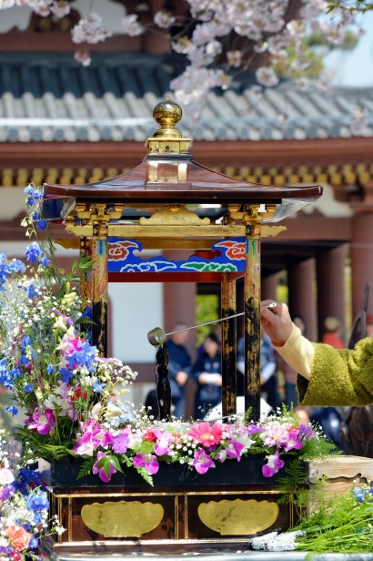 イメージ　２０１４年長谷寺花まつり